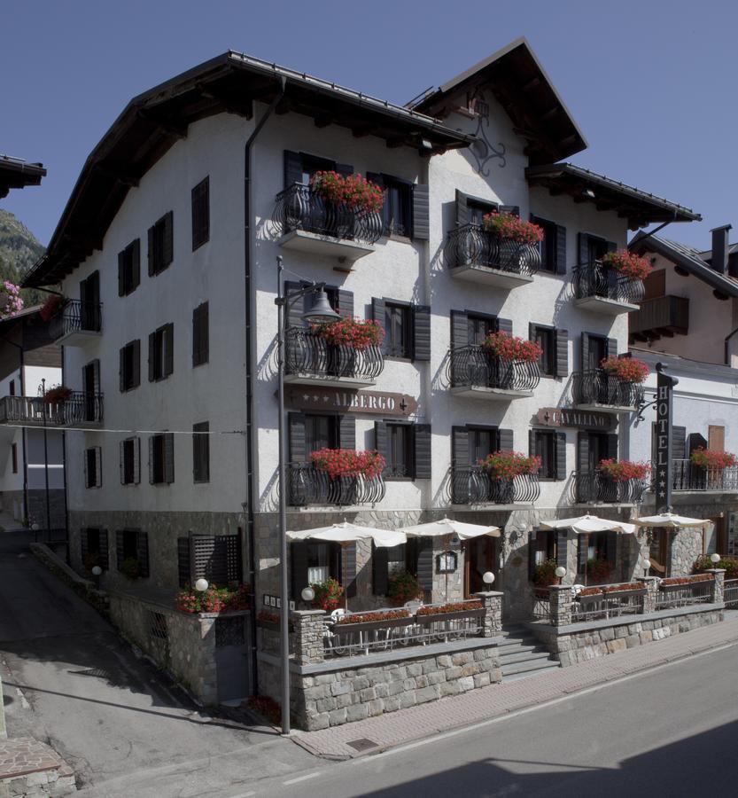 Il Cavallino - Albergo & Appartamenti Sappada Exterior foto